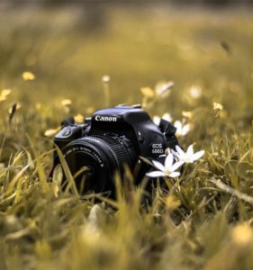 What is the difference between DSLR and Mirrorless Camera?